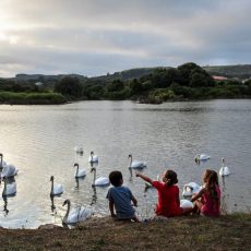 Arnuero, ciudad amiga de la infancia